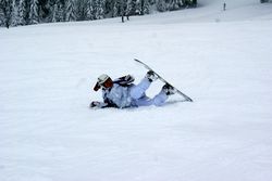 Alta Val Badia (146), Chiara R (43), Famiglia (61), Sci Alpino (290)